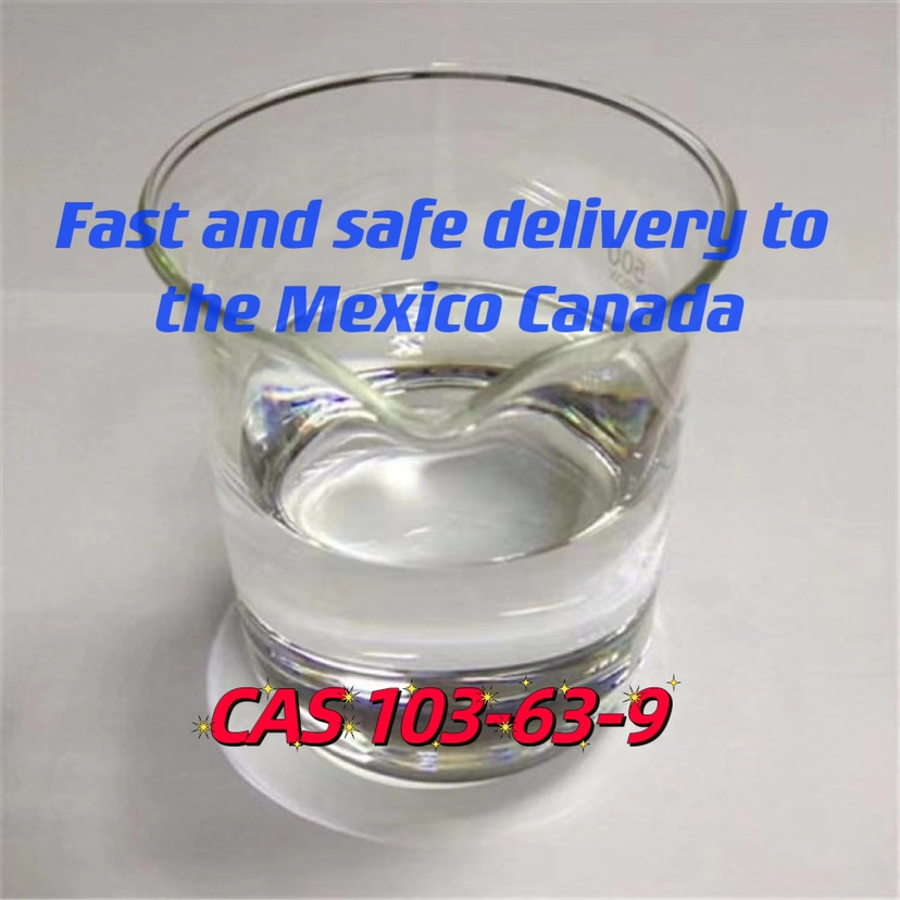 (2-Bromoethyl) Benzene CAS 103-63-9 BMK/Pmk Powder or Oil Europe Canada Mexico Professional Factory
